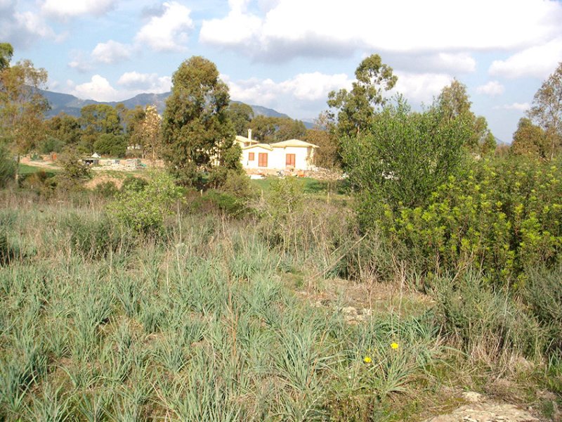 Agricultural land in Pula