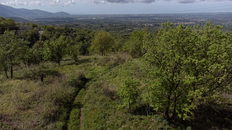 罗卡蒙菲纳农用土地