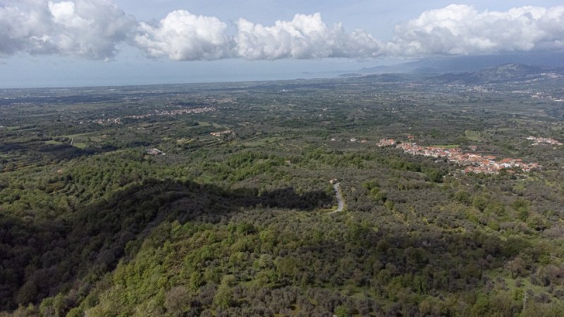 罗卡蒙菲纳农用土地
