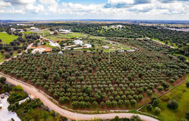 Участок земли в Челье-Мессапика