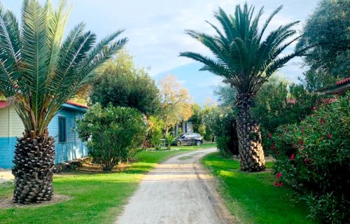 Zakelijk onroerend goed in Montenero di Bisaccia