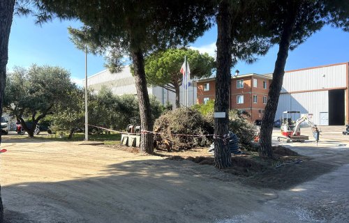 Land in Piombino