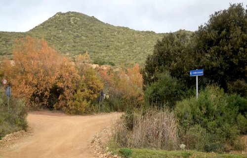 Terreno en Segariu