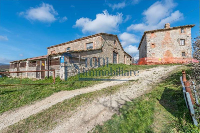 Farmhouse in Todi