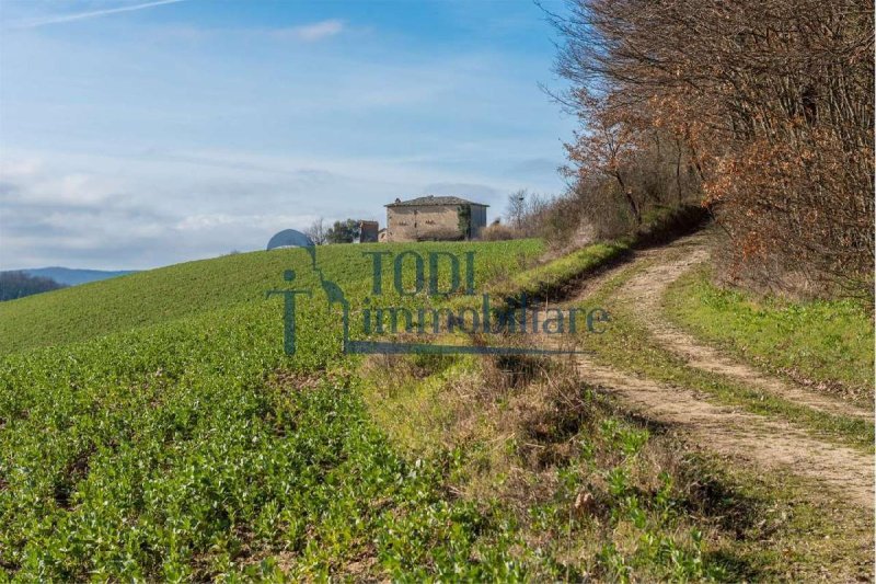 Farmhouse in Todi