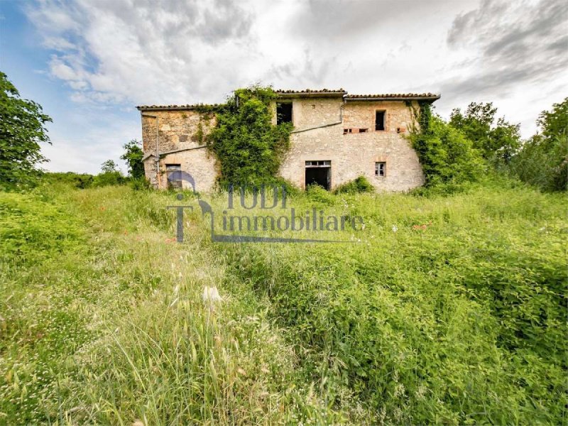 Ferme à Massa Martana