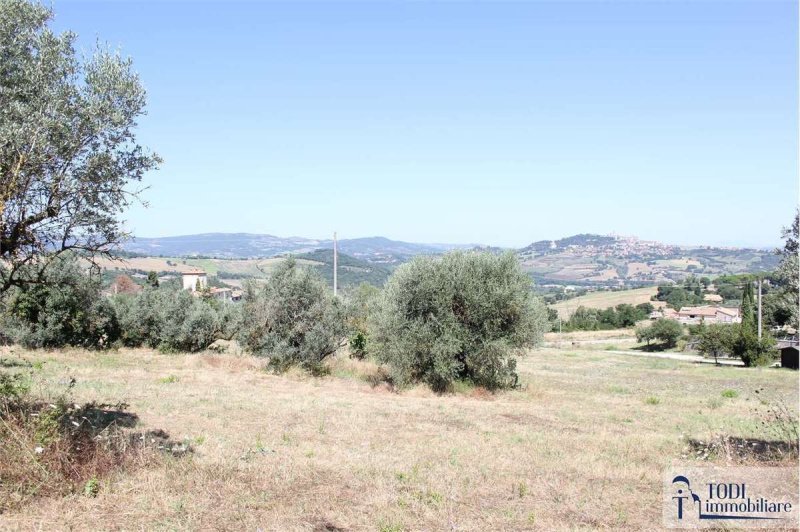 Terreno edificabile a Todi