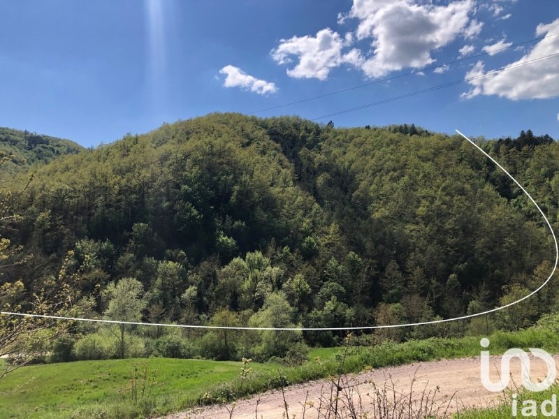 Terrain agricole à Pietralunga
