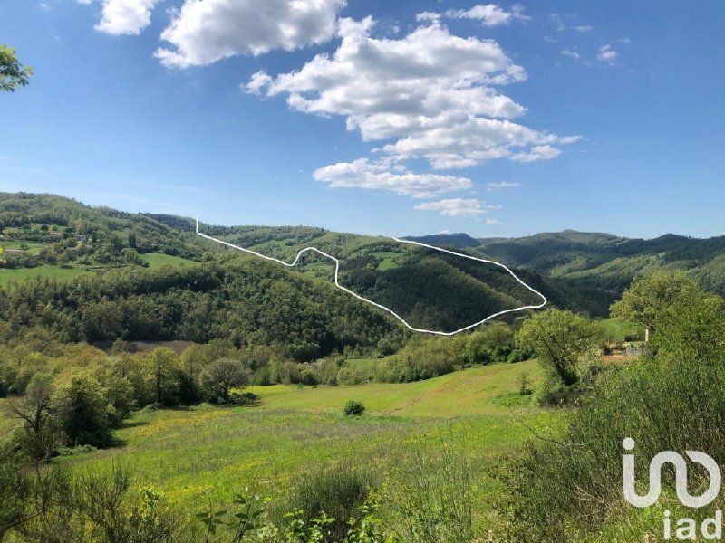 Terrain agricole à Pietralunga