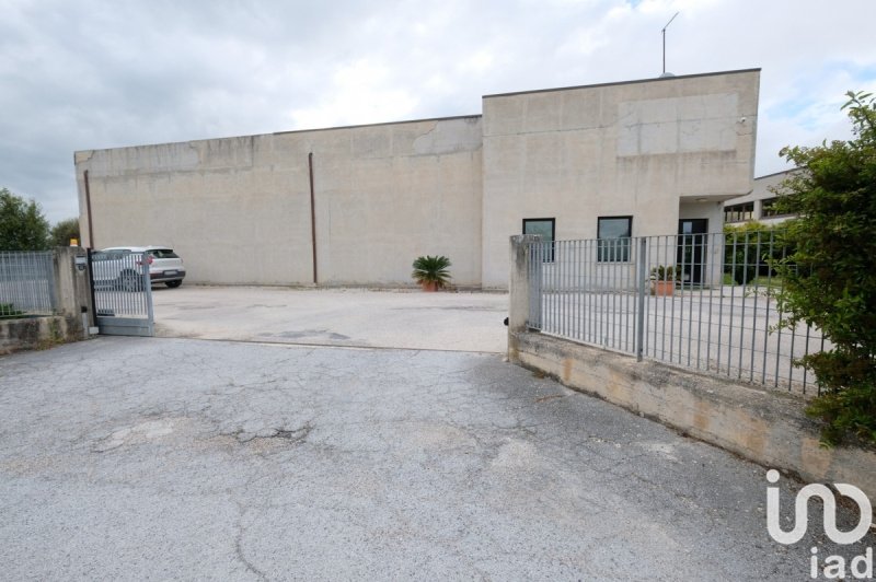 Inmueble comercial en Belvedere Ostrense