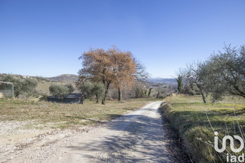 Agricultural land in Falerone