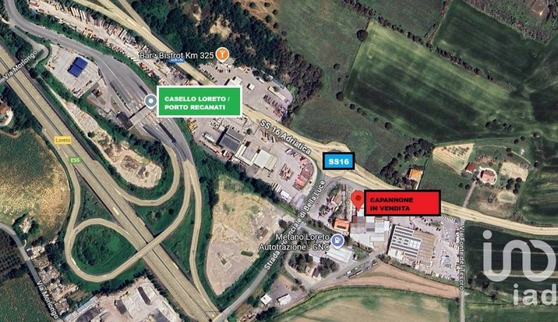 洛雷托商业房产