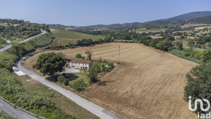 Сельскохозяйственный участок в Сироло