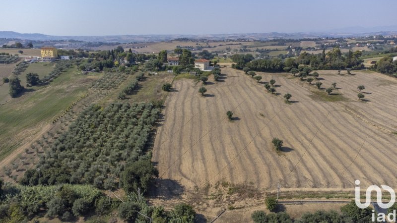 Building plot in Osimo