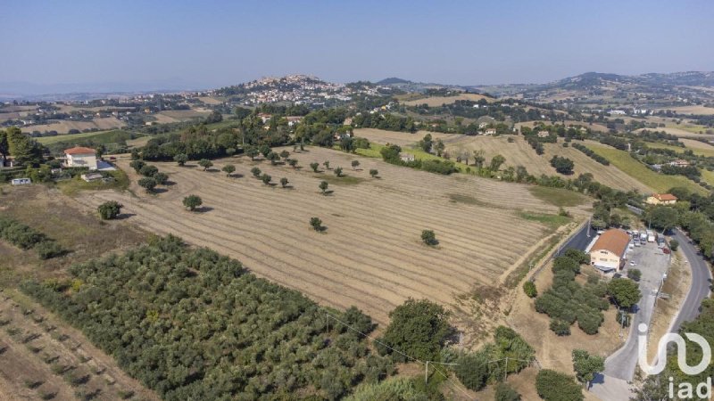 Building plot in Osimo