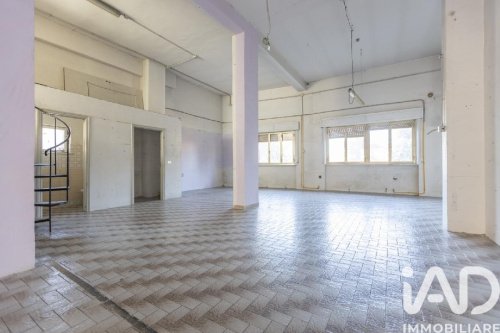 Коммерческая недвижимость в Озимо