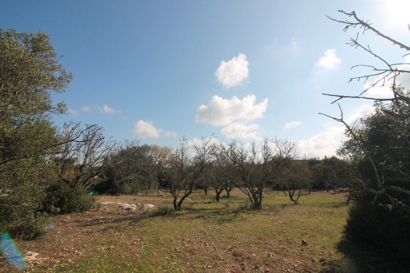 Klein huisje op het platteland in Ostuni