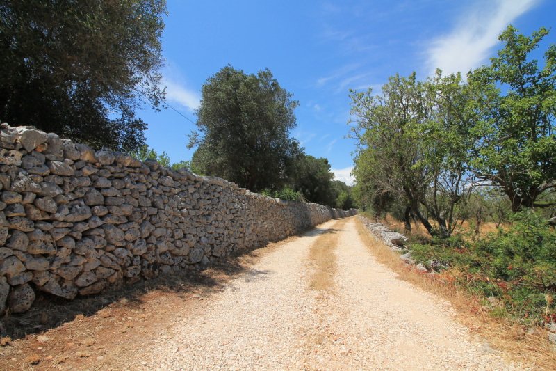 Ferme à Ostuni