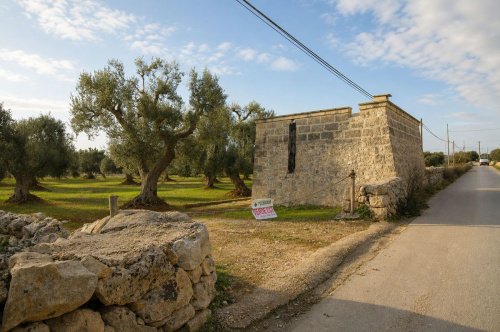 Lamia à Ostuni