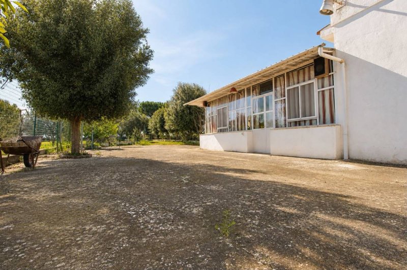 Ferme à Ostuni