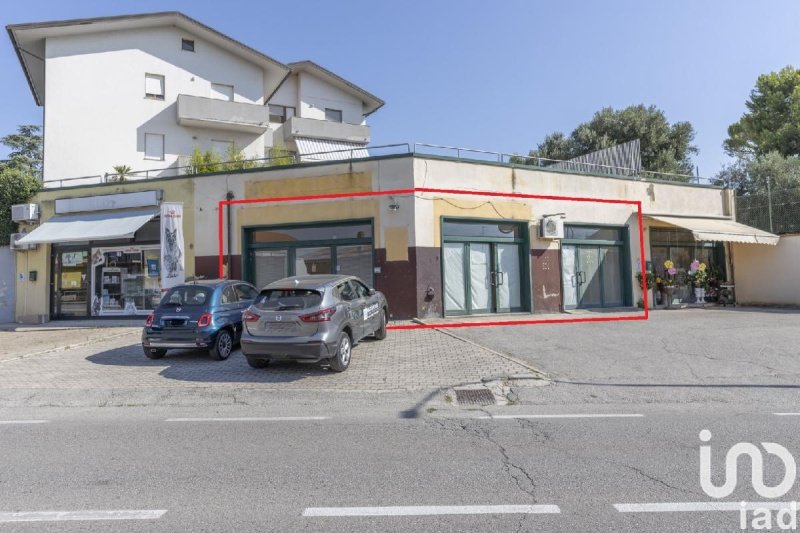 Commercial property in Castelfidardo