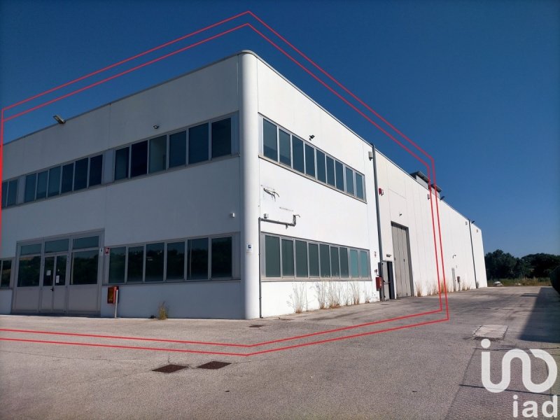 奧西莫商业房产