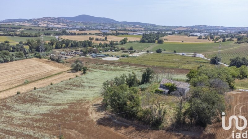 Detached house in Osimo