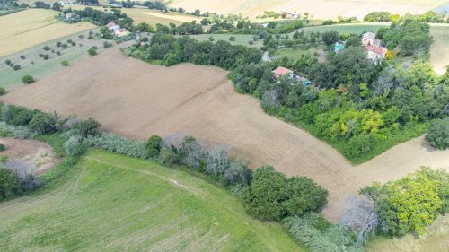 Terreno agricolo a Osimo