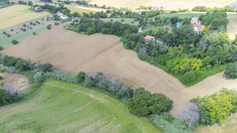 Landwirtschaftliche Fläche in Osimo