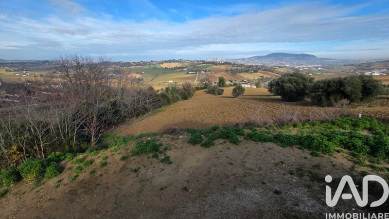 Terreno edificabile a Castelfidardo
