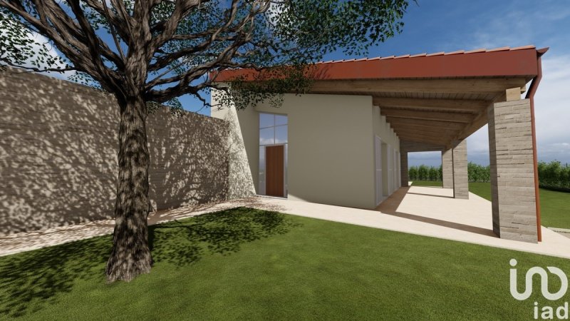 Building plot in Osimo