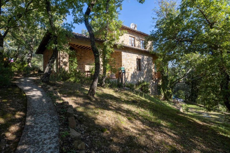 Сельский дом в Монтальчино