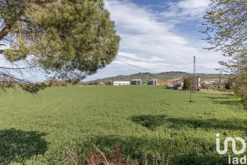 Building plot in Montelupone