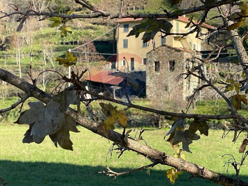 Klein huisje op het platteland in Varese Ligure