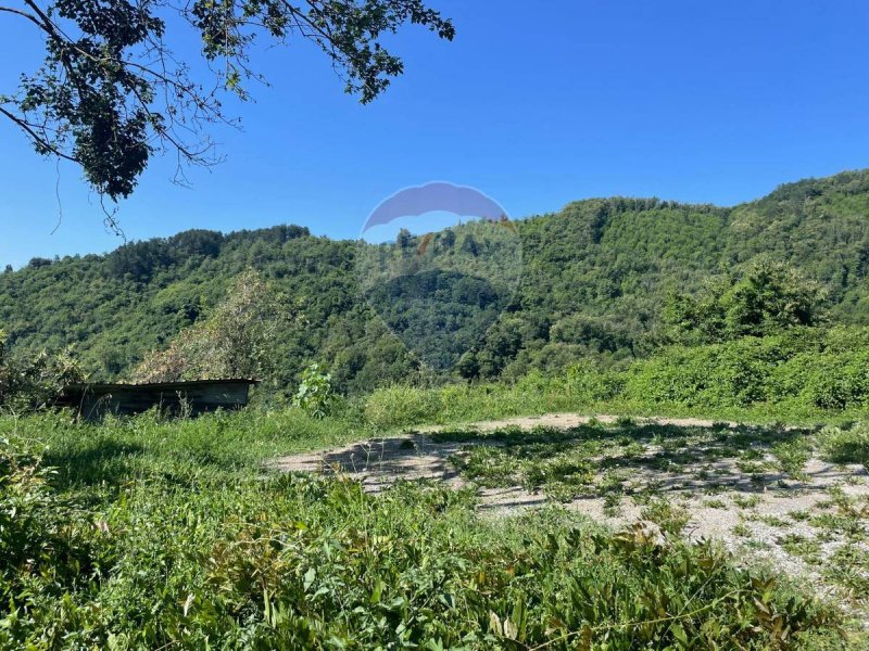 瓦雷塞利古雷房屋