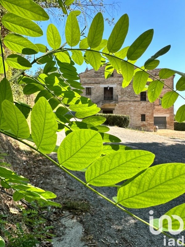 Klein huisje op het platteland in Falerone