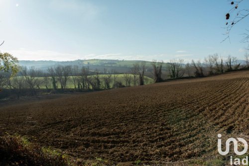 Terrain agricole à Filottrano