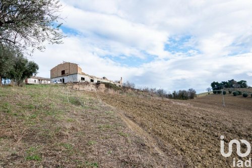 Terreno agrícola en Osimo