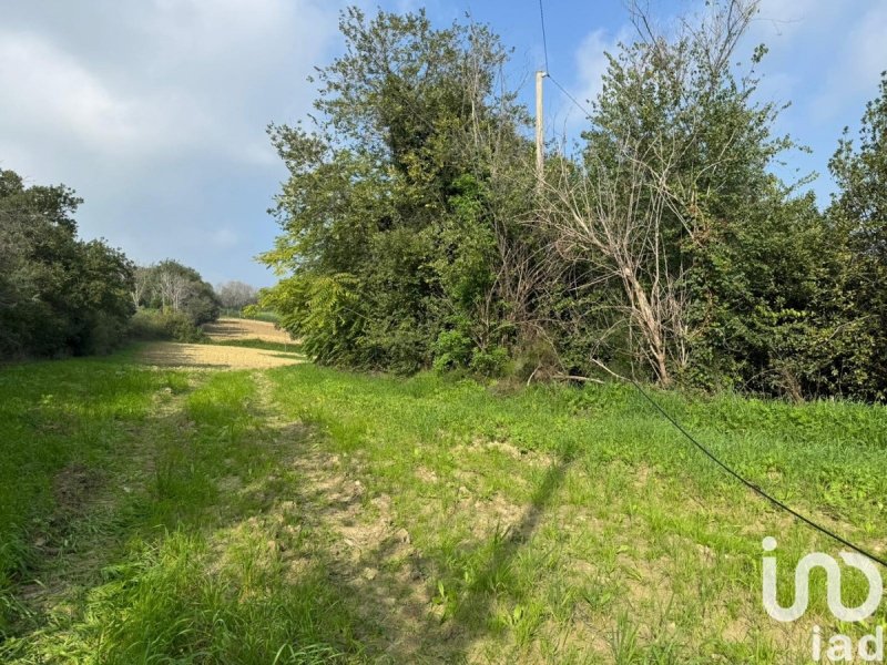 Klein huisje op het platteland in Agugliano