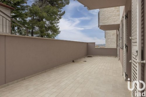 Apartment in Castelfidardo