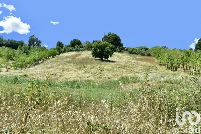 Terreno agrícola em Staffolo