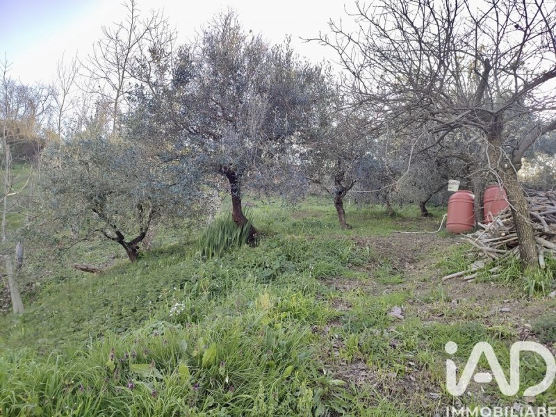 Сельскохозяйственный участок в Стаффоло