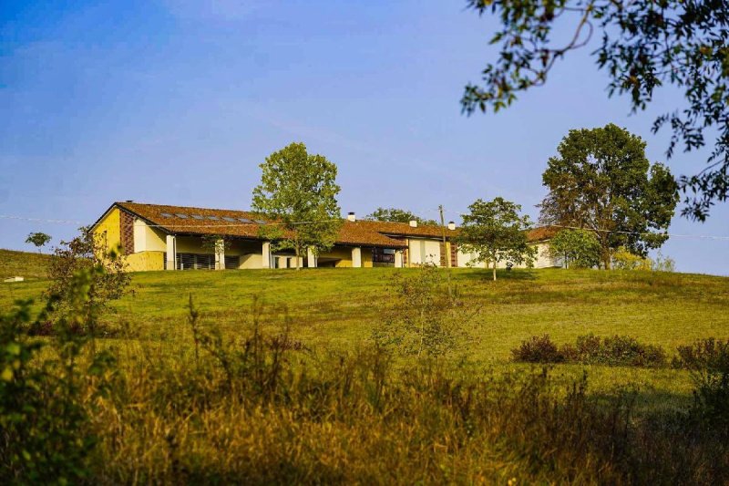 Klein huisje op het platteland in Ozzano Monferrato