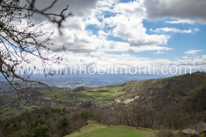 Lantställe i Roccaverano