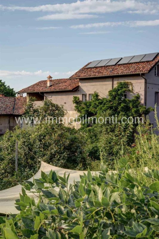 Farmhouse in Alba