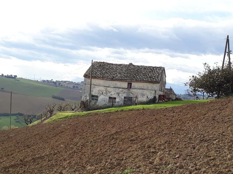 Klein huisje op het platteland in Montefano