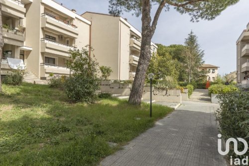 Apartment in Osimo