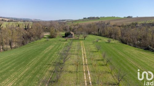Terreno agrícola em Filottrano