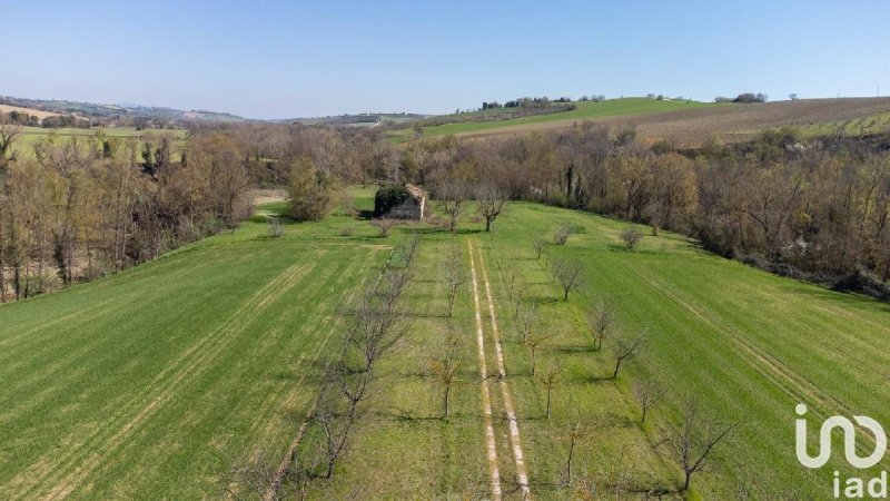 Terreno agrícola em Filottrano
