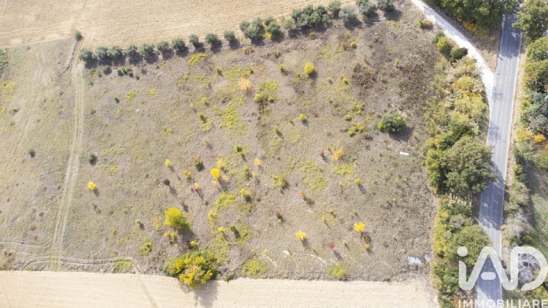 Terreno agricolo a Filottrano